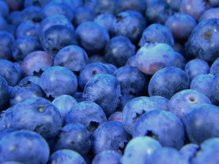 Photo Acerola fruit